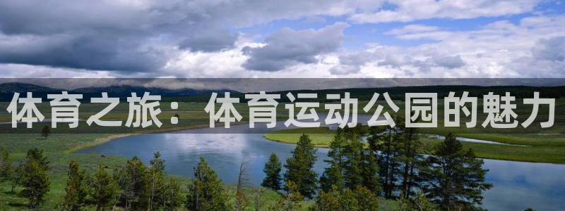 体育之旅：体育运动公园的魅力
