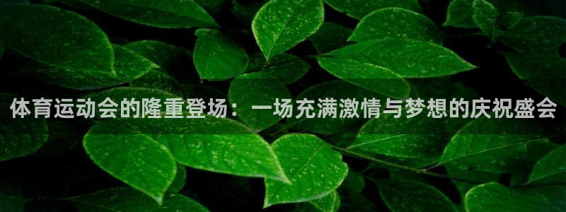 体育运动会的隆重登场：一场充满激情与梦想的庆祝盛会