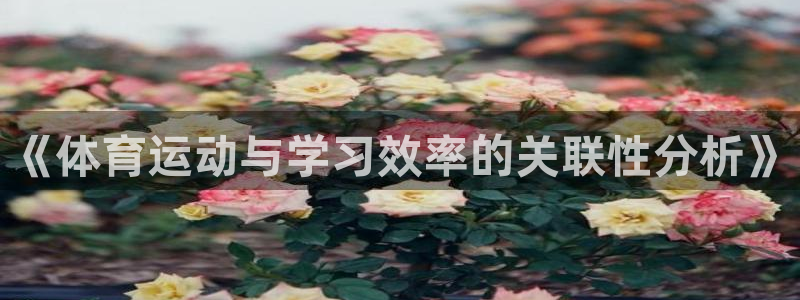 《体育运动与学习效率的关联性分析》