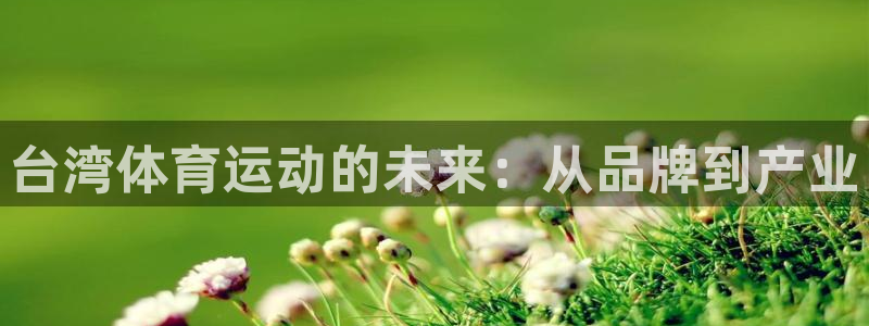 台湾体育运动的未来：从品牌到产业