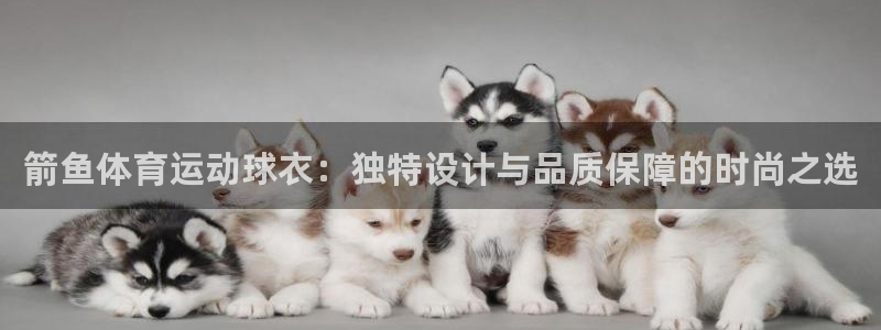 箭鱼体育运动球衣：独特设计与品质保障的时尚之选